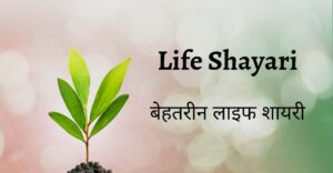 Read more about the article Life Shayari Life in Hindi | लाइफ शायरी हिंदी में