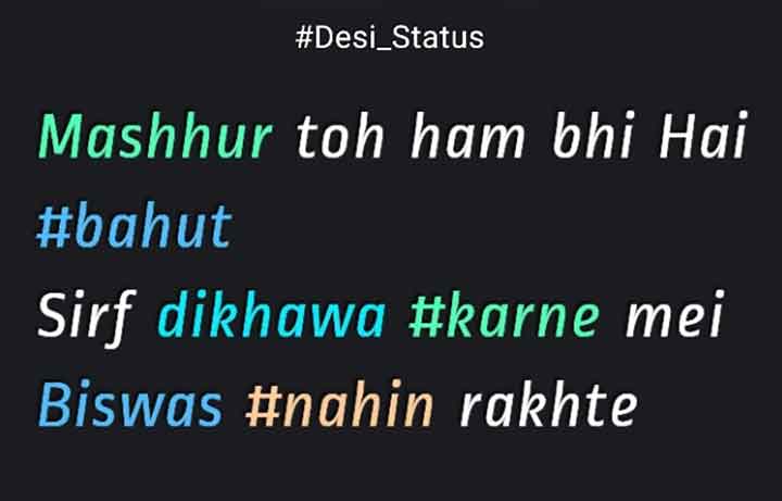 Desi Boy Status in Hindi