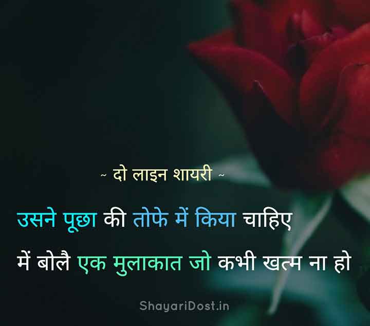 Best Ever 2 Line Shayari about Love in Hindi