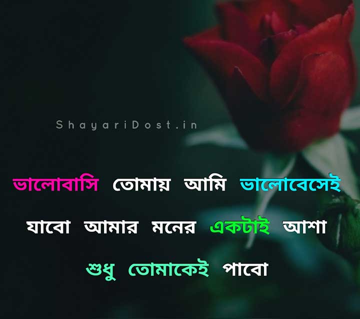 Love Shayari in Bengali for Girlfriend