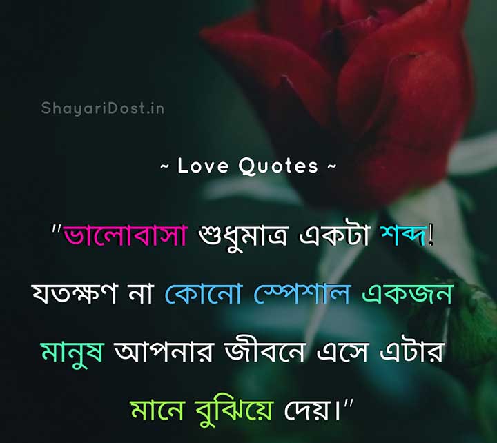 Love Quotes in Bengali Medium