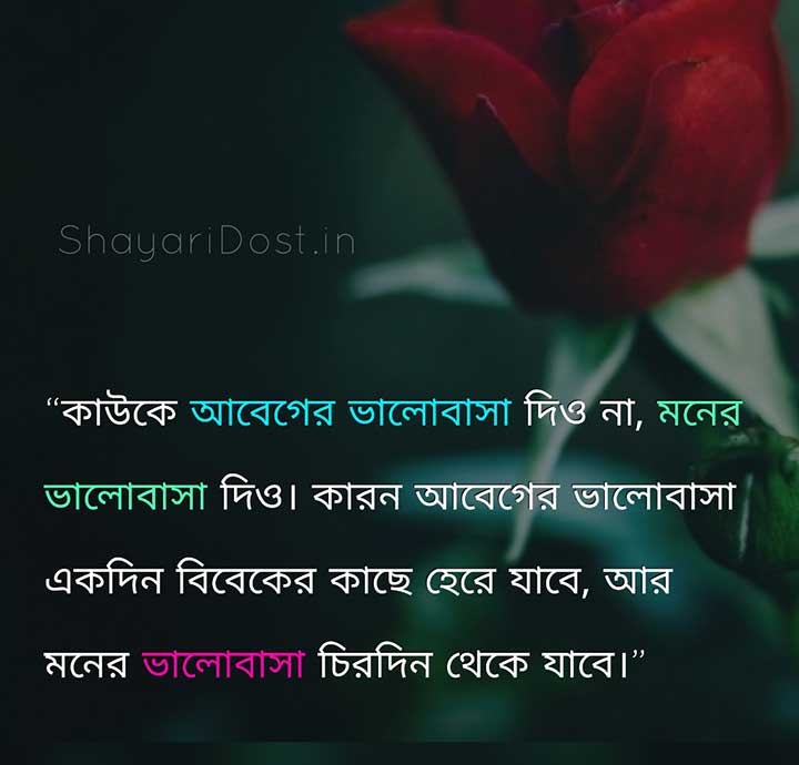 Bangla Love Quotes, Bhalobaser Caption