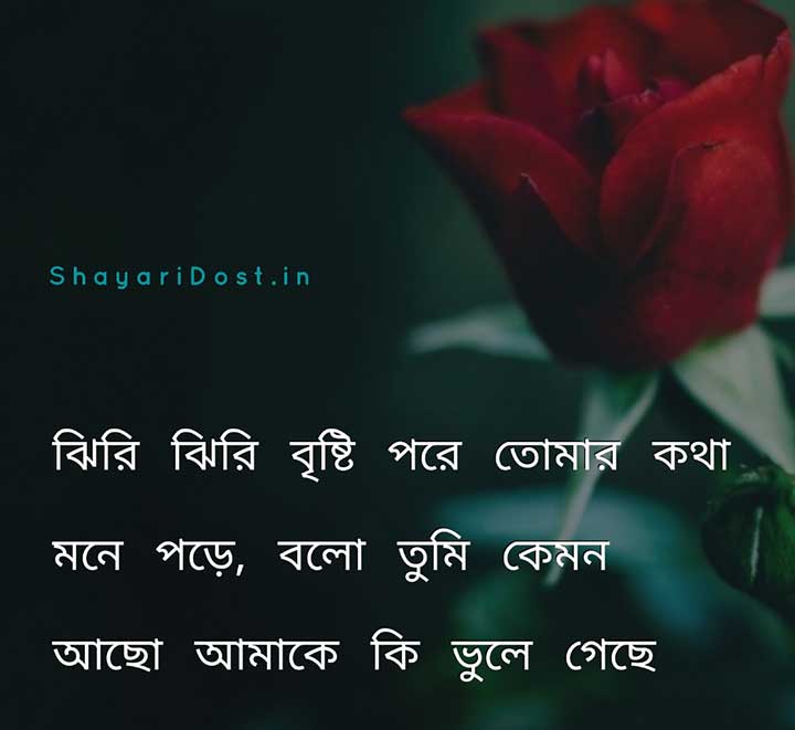 Romantic Love Shayari in Bangla Medium