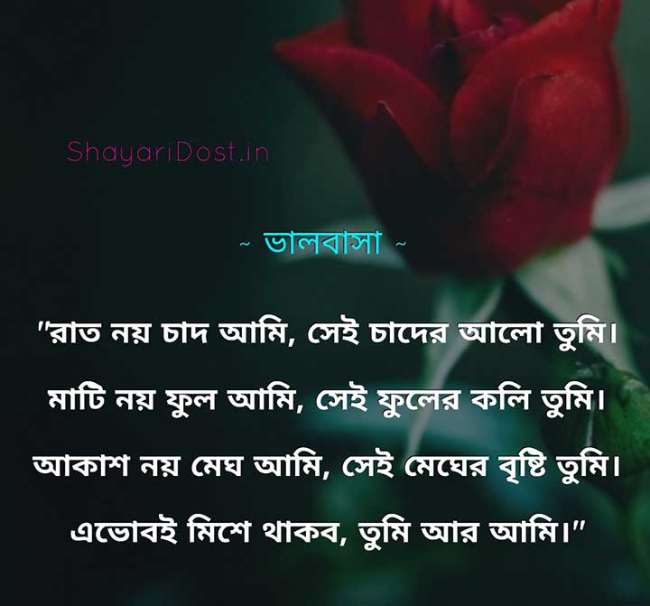 Bangla Romantic Love Quotes for Girlfriend, Valobasa Caption Bangla