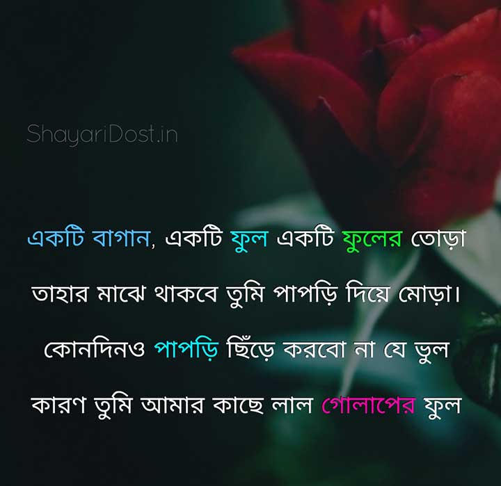 Bangla Shayari for Girlfriend