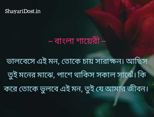Best Bengali Shayari in Bangla Font