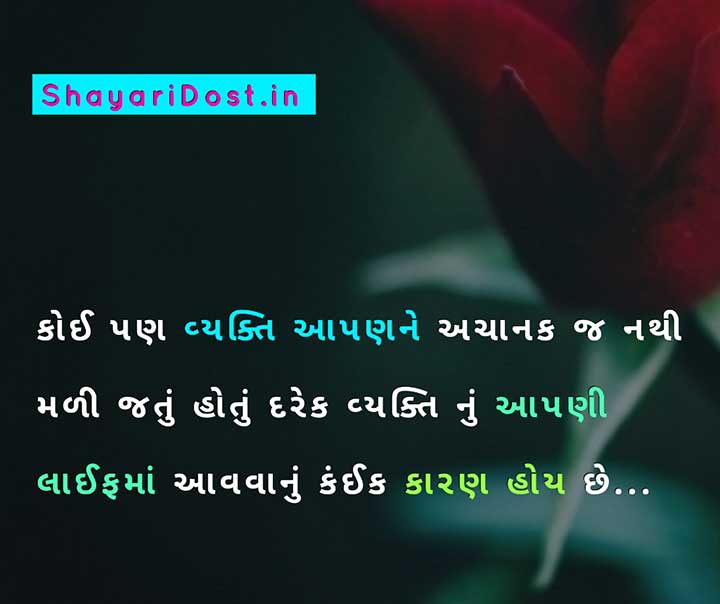 Gujarati Love Shayari for Couple with a Rose Background