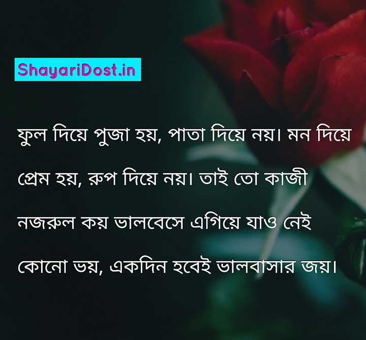 Romantic Bengali Shayari with Rose Background