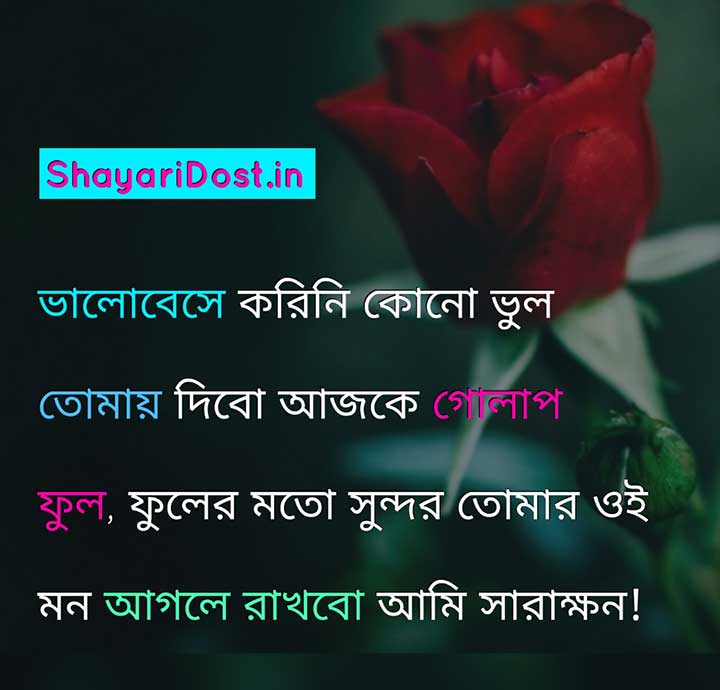 Bhalobaser Shayari, Romantic Shayari in Bengali Medium