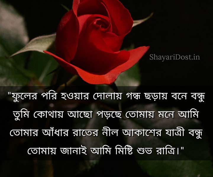 Good Night Bangla Romantic Shayari Sms
