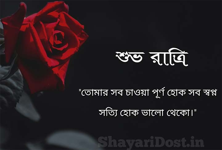 Read more about the article শুভ রাত্রি মেসেজ | Bangla Good Night SMS, Shayari & Kabita