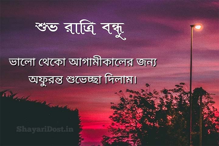 Best Bangla Good Night Sms for Friend