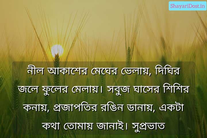 Supravat Shubhechha SMS in Bengali Font