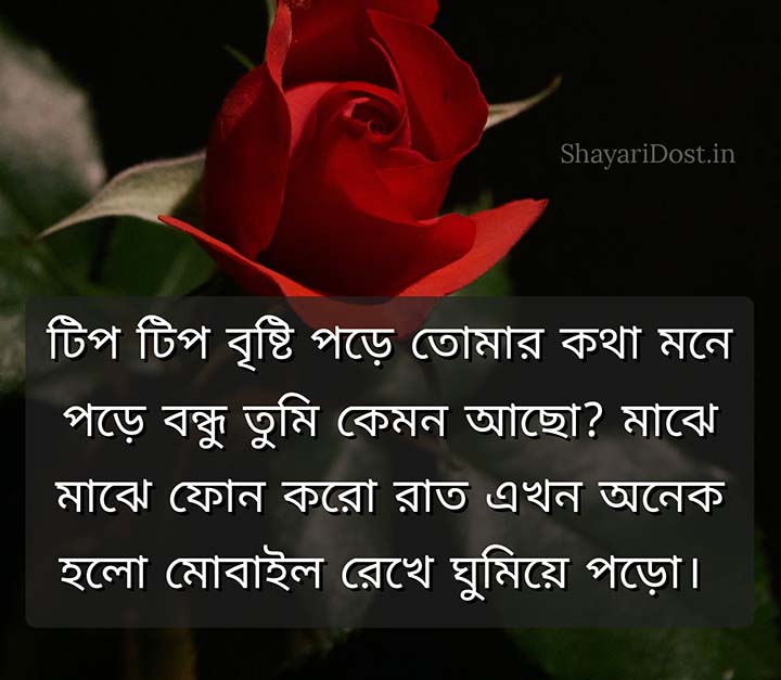 Romantic Good Night Shayari Sms in Bangla
