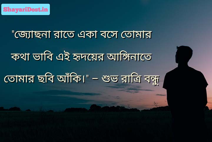 Romantic Good Night Shayari in Bengali for Sms and Status