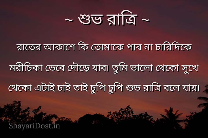 Bangla Good Night Shayari for Girlfriend