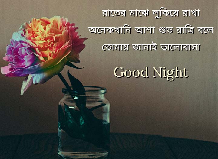 Bengali Good Night Shayari Sms 