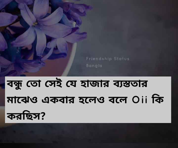 Bangla Bondhutter Status for WhatsApp