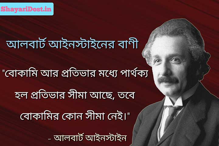 Albert Einstein Bani in Bengali on Intelligence