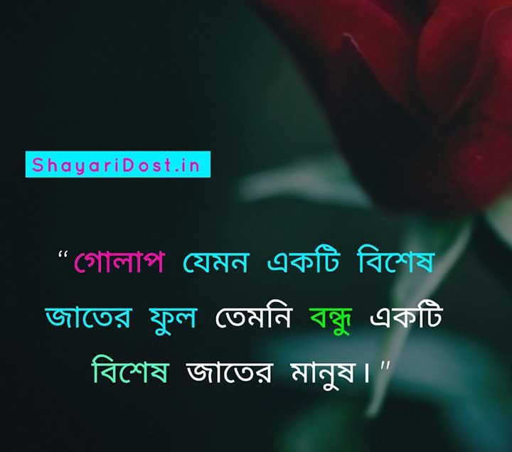 Friendship Quotes in Bengali Rabindranath Tagore