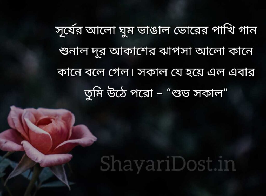 Good Morning Bengali Wishes, Suprovat SMS 