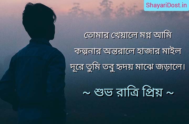 Romantic Good Night Bangla Shayari 