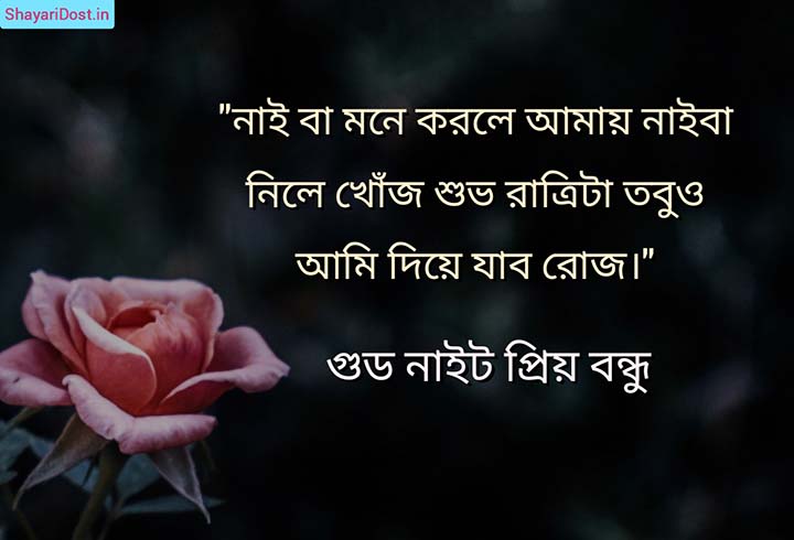 Sad Love Good Night Shayari in Bengali Font for SMS and Status