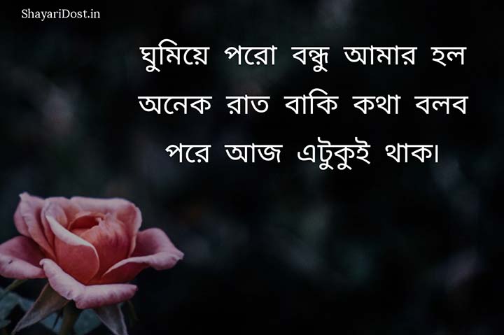 Romantic Bengali Good Night Sms, Shubho Ratti Message