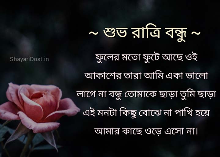 Bengali Good Night Sms, Shubho Ratti Status