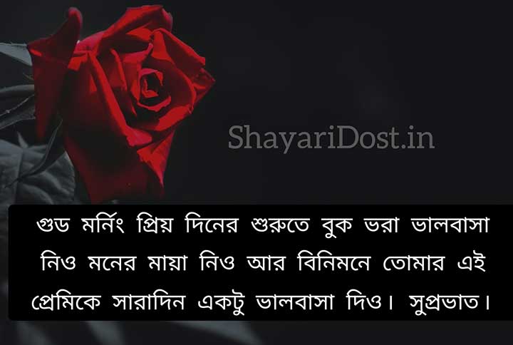 Romantic Good Morning Bengali SMS for Share with Love