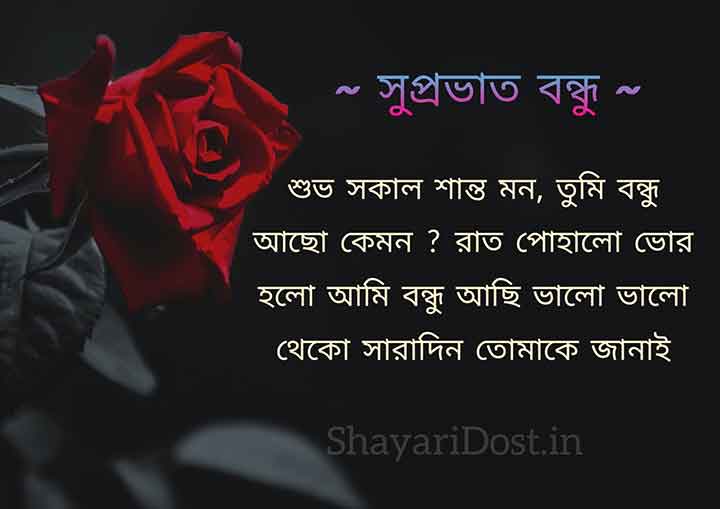 Best Good Morning SMS in Bengali for Friend, Supravat Bandhu Sms
