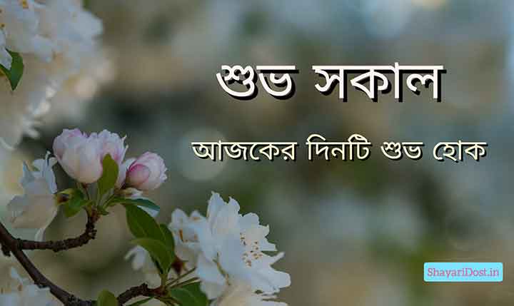 You are currently viewing শুভ সকাল SMS | Bengali Good Morning SMS, Shayari & Kobita