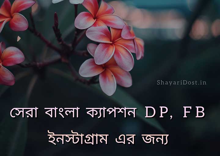 Bangla Caption For Fb And Dp 