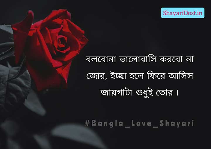 Sad Love Bangla Romantic Shayari
