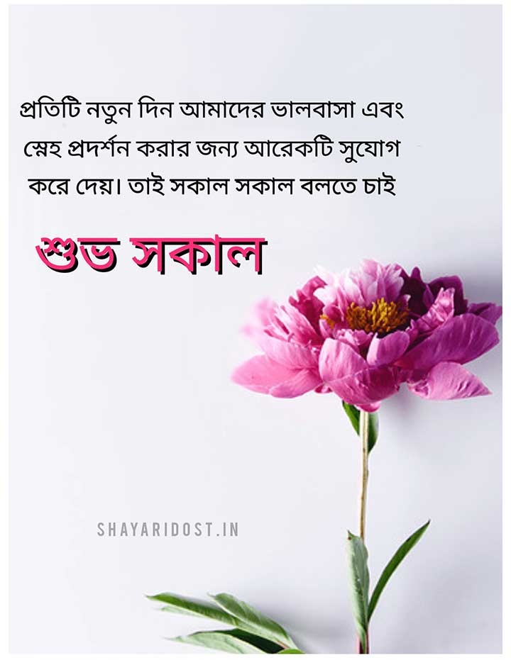 Bengali Good Morning Quotes for Status
