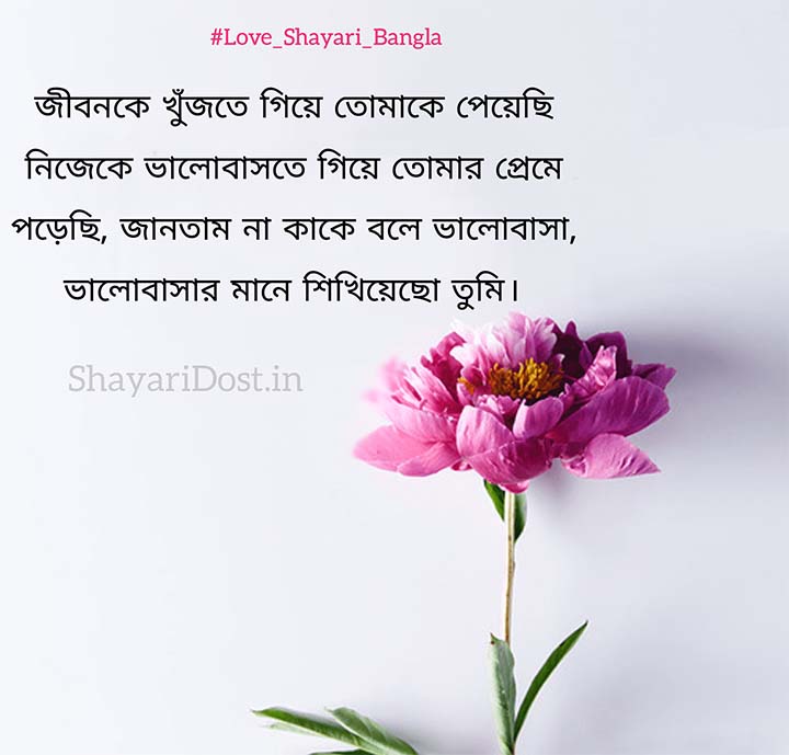 Best Love Shayari in Bengali Font for Status