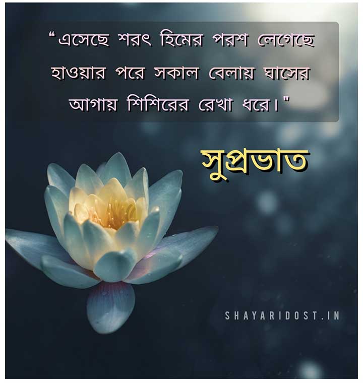 Bengali Good Morning Quotes With Bangla Kobita Eseche Sarat Himer Parash