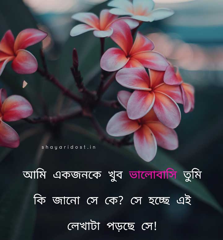 Bhalobashar Love SMS in Bengali Medium