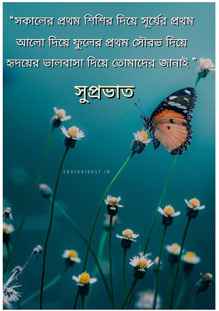 Good Morning Quotes in Bengali for Wish