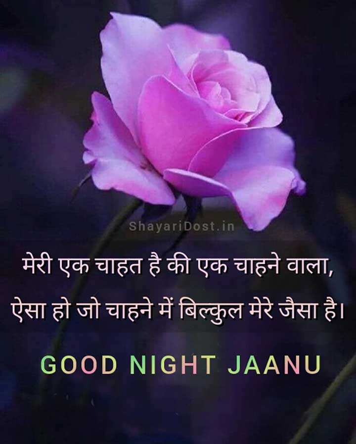 Romantic Good Night Janu Shayari Hindi