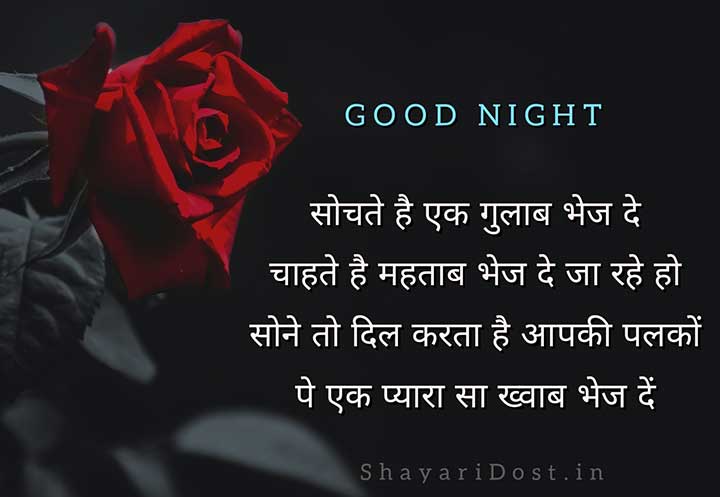 Romantic Shubh Ratri Shayari in Hindi Font with Rose Background