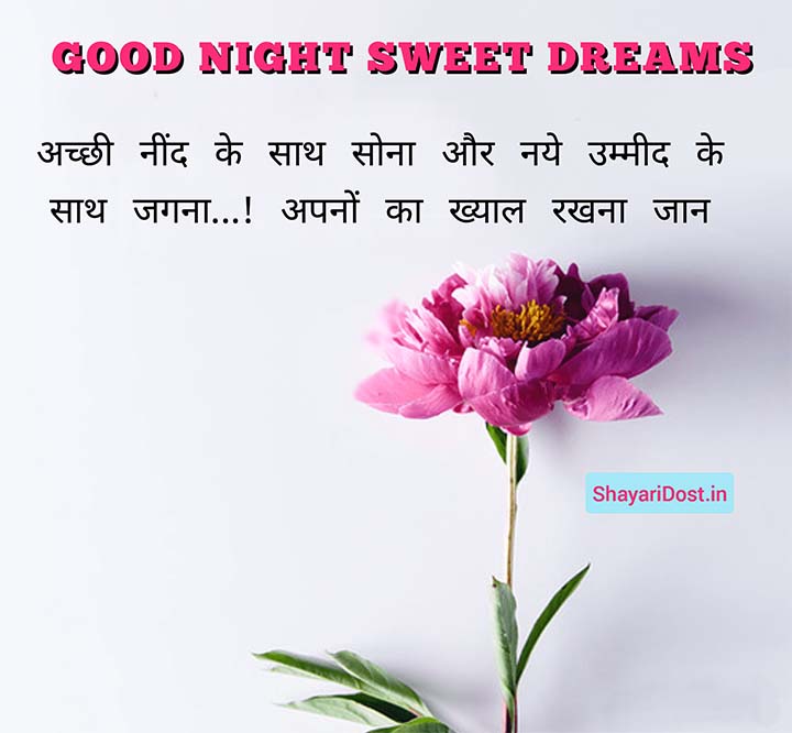 Romantic Good Night Shayari Sms For Girlfriend in Hindi 