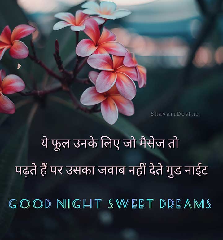 Hindi Good Night Shayari Sms for Crush Romantic Gd Night Quotes