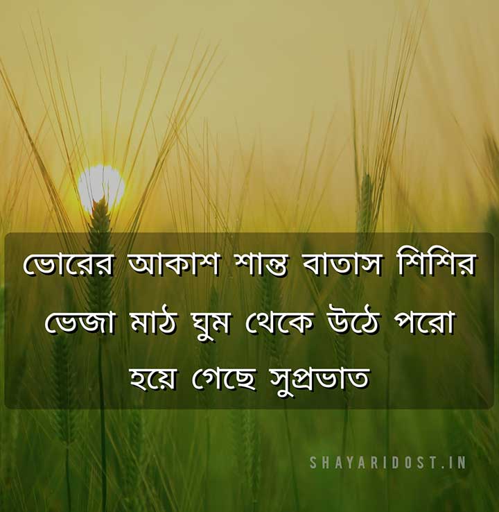 Good Morning Quotes Bangla