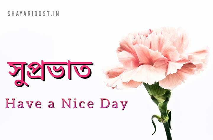 101 সেরা সুপ্রভাত ছবি | Bangla Good Morning Images & Quotes