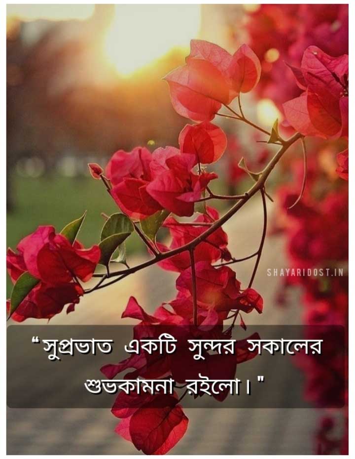 Good Morning Wishes Bangla for Friend