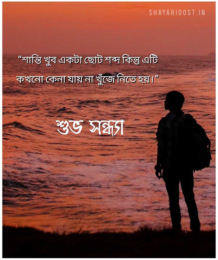 Good Evening Bangla Quotes with Image