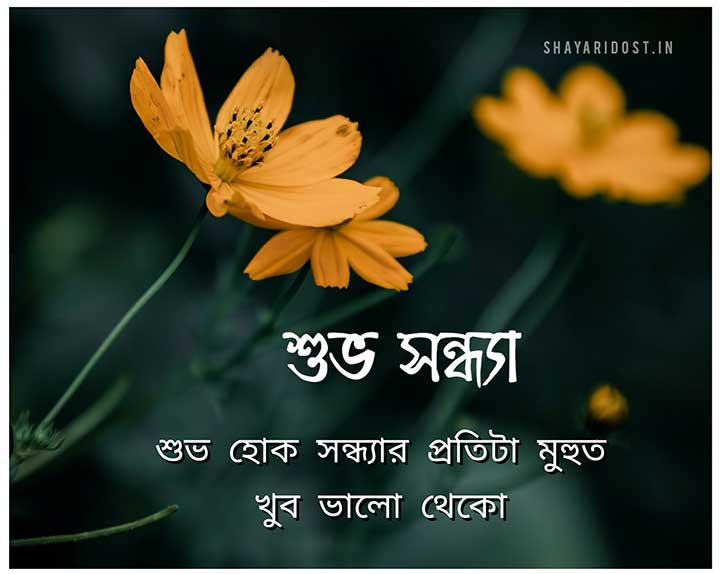 You are currently viewing শুভ সন্ধ্যা মেসেজ | Bangla Good Evening SMS, Quotes, Kobita