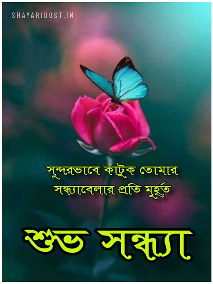 Good Evening picture Bangla