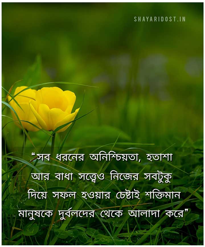 Success Quotes in Bengali